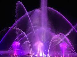 IMG_5273.jpg